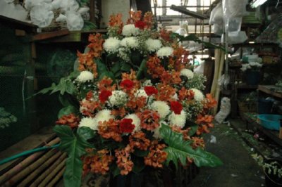 COMERCIO - CENTRO FLORES